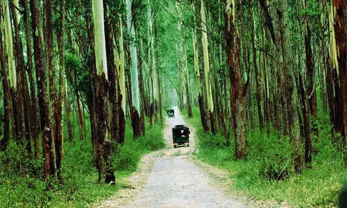 വയനാട് വന്യജീവി സങ്കേതം: പരിസ്ഥിതി ലോല മേഖല 88.21 ചതുരശ്ര കി.മീ വയനാട് വന്യജീവി സങ്കേതം: പരിസ്ഥിതി ലോല മേഖല 88.21 ചതുരശ്ര കി.മീ