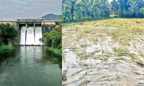 പാലക്കാട്​ ജില്ലയില്‍ ലഭിച്ചത് 71.79 മി.മീറ്റര്‍   മഴ
