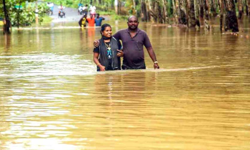 മലയോര ഗ്രാമങ്ങളിലും വനമേഖലയിലും വ്യാപക നാശം