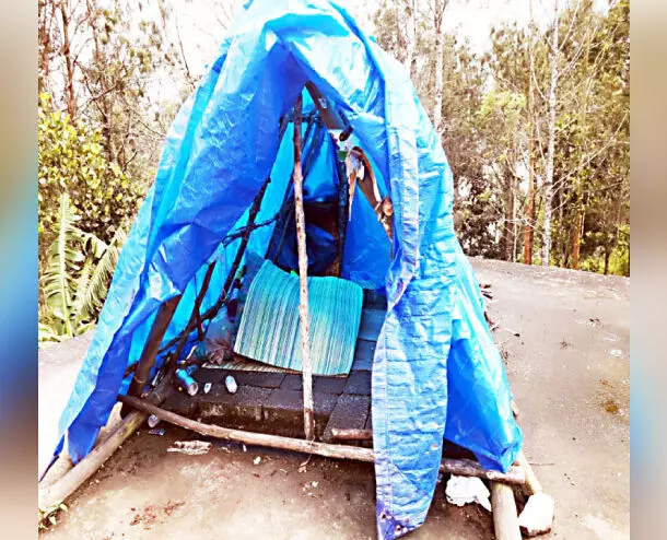 വാഗ്ദാനങ്ങൾ നടപ്പായില്ല; വിമലക്കും മകനും പടുത കൂരതന്നെ ആശ്രയം വാഗ്ദാനങ്ങൾ നടപ്പായില്ല; വിമലക്കും മകനും പടുത കൂരതന്നെ ആശ്രയം