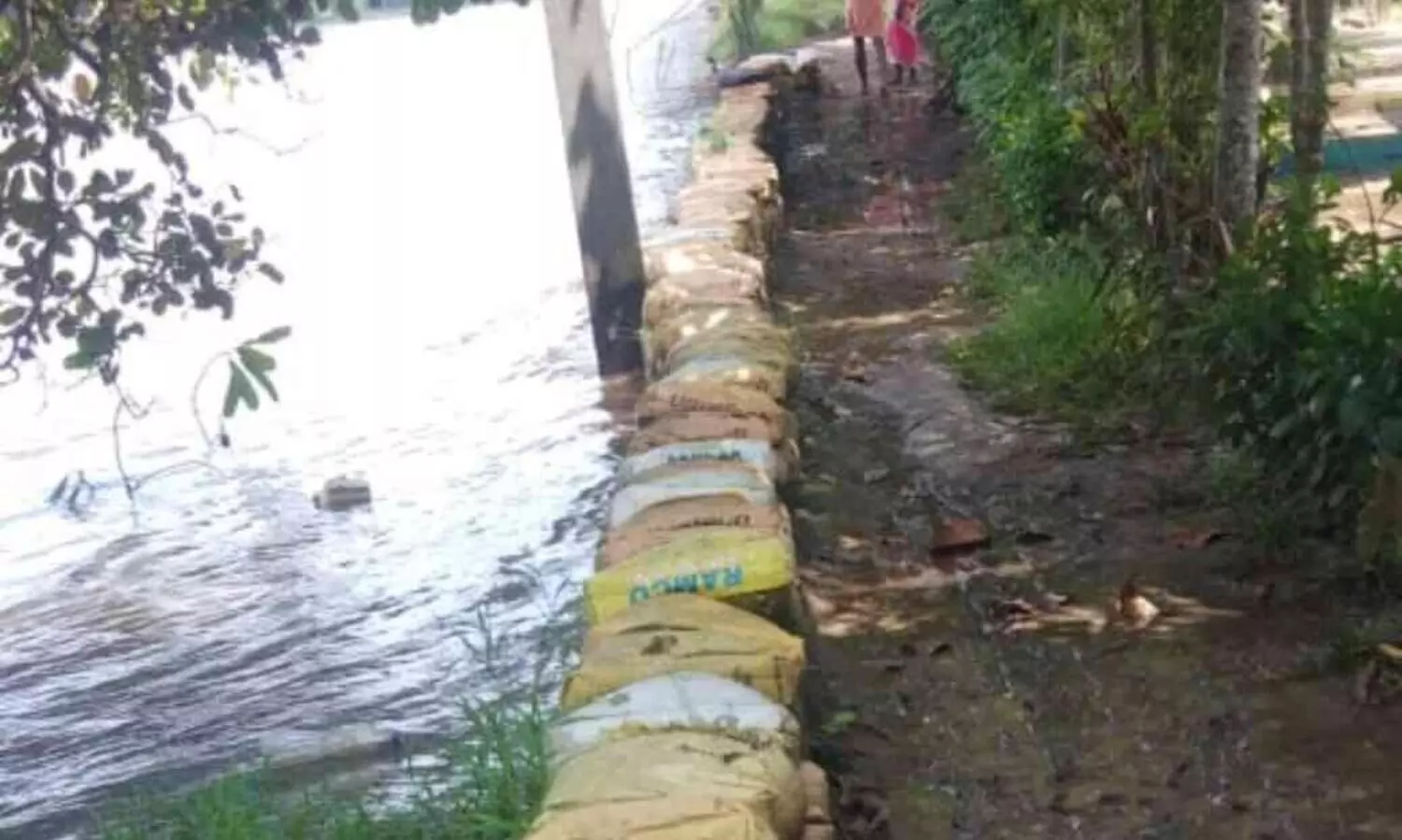 കുതിച്ച് പാഞ്ഞ് മലവെള്ളം; അപ്പർകുട്ടനാട് വെള്ളത്തിൽ മുങ്ങുന്നു