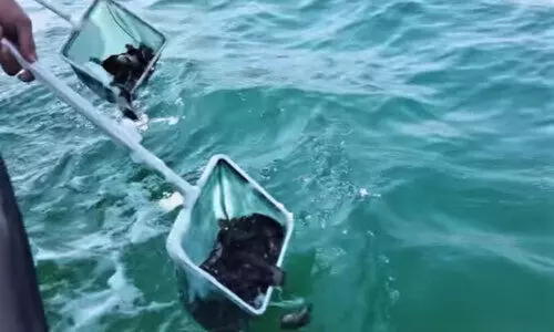 മ​ത്സ്യ​കൃ​ഷി​യു​മാ​യി മ​ന്ത്രാ​ല​യം