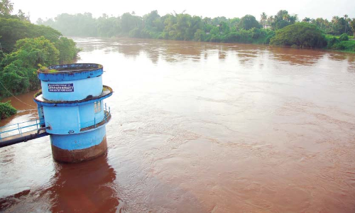 തൃ​ശൂ​രിൽ വ്യാ​പ​ക കൃ​ഷി​നാ​ശം, താ​ഴ്​​ന്ന പ്ര​ദേ​ശ​ങ്ങ​ളി​ലെ വെ​ള്ള​ക്കെ​ട്ട്​ ഒ​ഴി​ഞ്ഞി​ല്ല