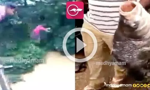തെന്മല ഡാം തുറന്നപ്പോൾ പാലത്തിൽ നിന്ന് ചാടി മീനുകളെ പിടിക്കുന്നവർ തെന്മല ഡാം തുറന്നപ്പോൾ പാലത്തിൽ നിന്ന് ചാടി മീനുകളെ പിടിക്കുന്നവർ