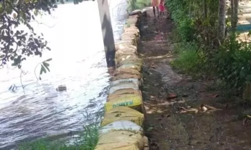 കുതിച്ച് പാഞ്ഞ് മലവെള്ളം; അപ്പർകുട്ടനാട് വെള്ളത്തിൽ മുങ്ങുന്നു