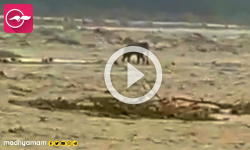 ഉത്തരാഖണ്ഡ് പ്രളയം; കുത്തിയൊലിച്ച നദിയുടെ നടുവിൽ കുടുങ്ങി ആന; വൈറലായി വിഡിയോ