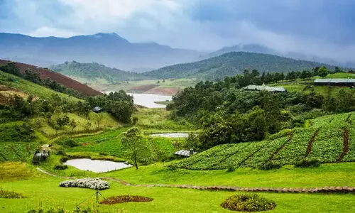 നീലഗിരി ജില്ലയിലേക്ക് പ്രവേശിക്കാൻ ഇനി ഇ-പാസ് വേണ്ട