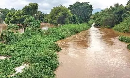 മ​ഴ​ക്കെ​ടു​തി​യി​ൽ 200 കോടിയുടെ കൃഷി നാശമെന്ന്​ മന്ത്രി