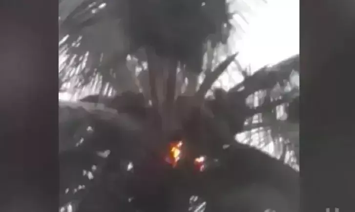 കോഴിക്കോട് മലയോര മേഖലയിൽ കനത്ത മഴ; മിന്നലേറ്റ് തെങ്ങുകൾ കത്തി -വിഡിയോ