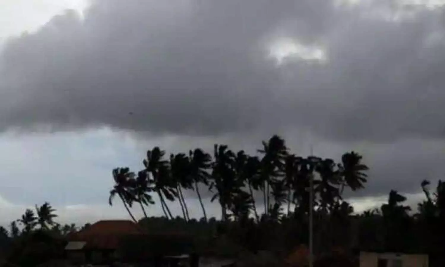 എല്ലാ ജില്ലകളിലും മഴക്കും കാറ്റിനും സാധ്യത; രാത്രി മഴ കനക്കും