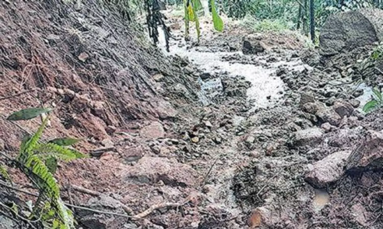 മംഗലം ഡാമിന്​ സമീപം ഉരുൾപൊട്ടി