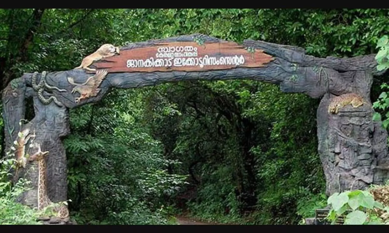 ആരും അറിയാതെ മയക്കുമരുന്ന് വിതരണവും; പീഡനം നടന്ന ജാനകിക്കാട് ഇക്കോ ടൂറിസം കേന്ദ്രം സാമൂഹിക വിരുദ്ധർ താവളമാക്കുന്നു