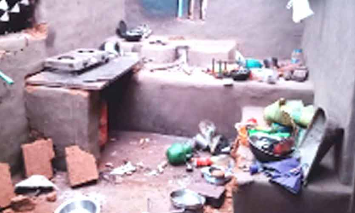 നാട്ടുകാരുടെ ഉറക്കംകെടുത്തി കാട്ടാന