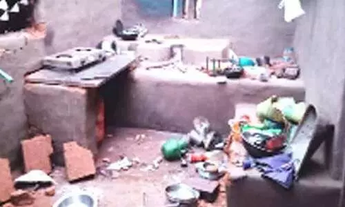 നാട്ടുകാരുടെ ഉറക്കംകെടുത്തി കാട്ടാന