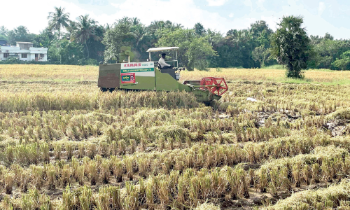 ക​ർ​ഷ​ക​ർ​ക്ക് ആ​ശ്വാ​സം; കൊയ്ത്തിന്  യ​ന്ത്ര​ങ്ങ​ളെ​ത്തി