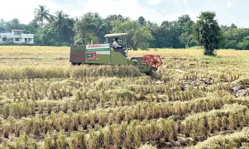 കർഷകർക്ക് ആശ്വാസം; കൊയ്ത്തിന് യന്ത്രങ്ങളെത്തി കർഷകർക്ക് ആശ്വാസം; കൊയ്ത്തിന് യന്ത്രങ്ങളെത്തി