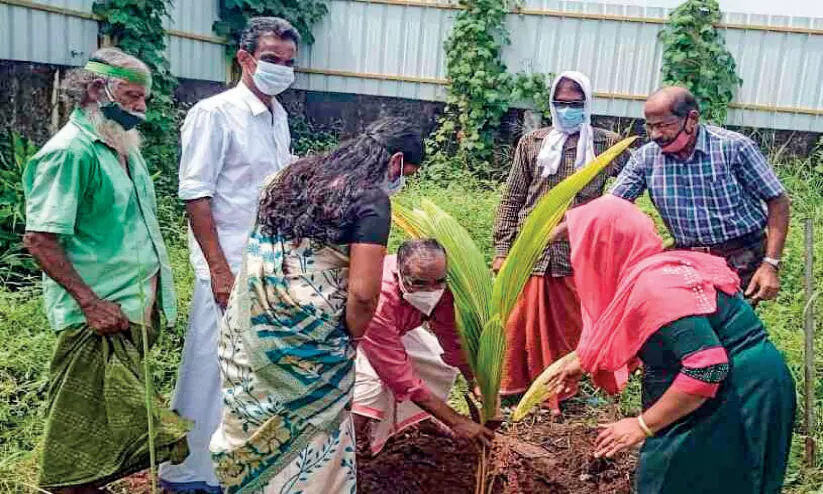 Palakkad Block Panchayat with tree planting for Achuthanandan birthday