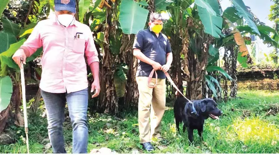 സ്ഫോടനം: മണത്തണയിൽ പരിശോധന നടത്തി സ്ഫോടനം: മണത്തണയിൽ പരിശോധന നടത്തി