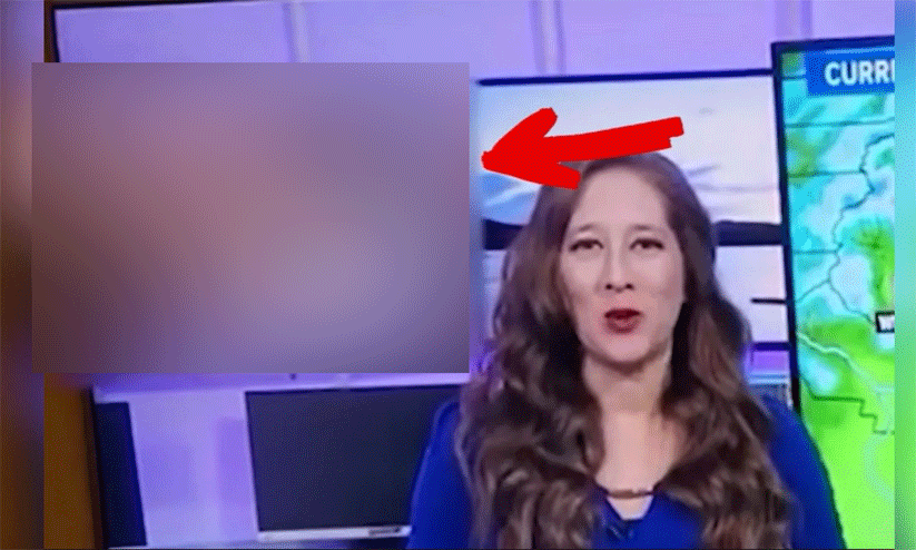 വാർത്തക്കിടെ അശ്ലീല വിഡിയോ സംപ്രേഷണം; മാപ്പ്​ പറഞ്ഞ്​ ചാനൽ