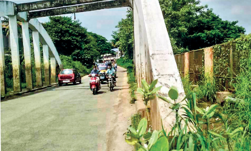 നടപ്പാത കാടുമുടി; യാത്രക്കാർ ദുരിതത്തിൽ