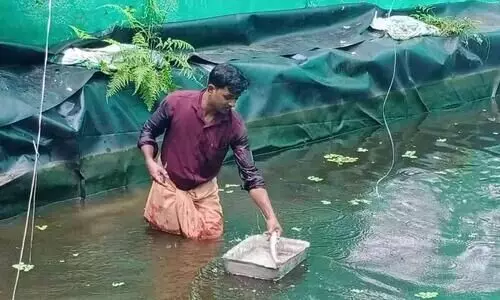വളർത്തു മത്സ്യങ്ങൾ ചത്ത നിലയിൽ