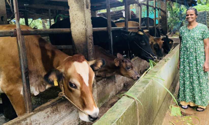 Saga Sarojini Saga Sarojini