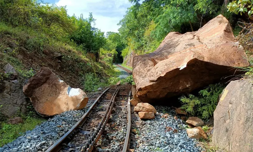 Nilgiri Heritage Train