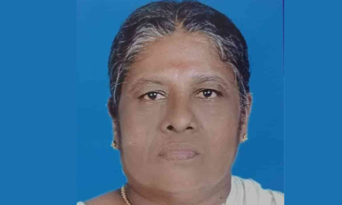 വീട്ടമ്മ കിണറ്റിൽ മരിച്ച നിലയിൽ