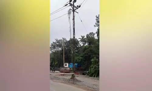 വൈദ്യുത പോസ്റ്റുകൾ നീക്കുന്നില്ല; സംസ്ഥാന പാതയുടെ വികസനം വൈകുന്നു