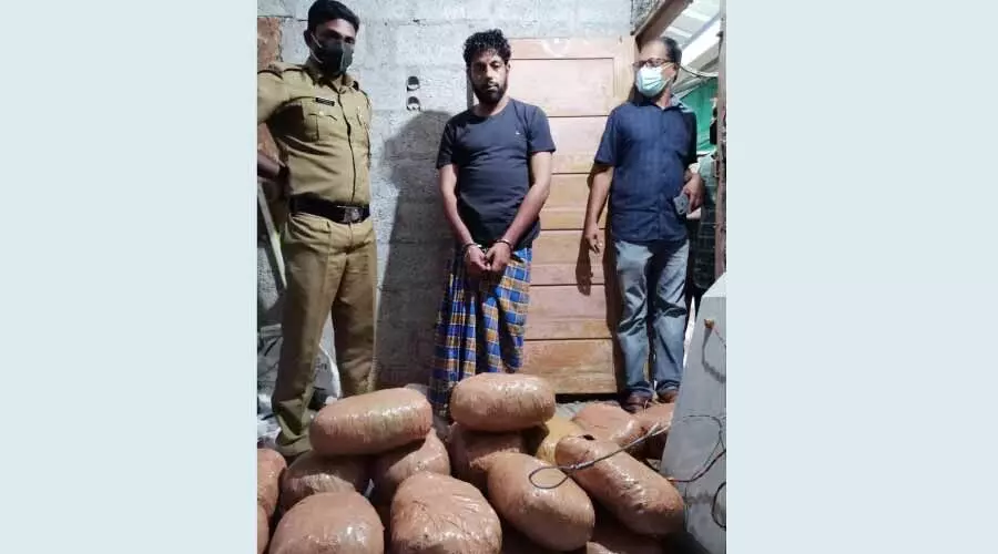 എ​ലി ചതിച്ചാശാനെ; മരപ്പൊടിയിലൊളിപ്പിച്ച കഞ്ചാവ് പിടികൂടി; ഒരാള്‍ അറസ്​റ്റില്‍