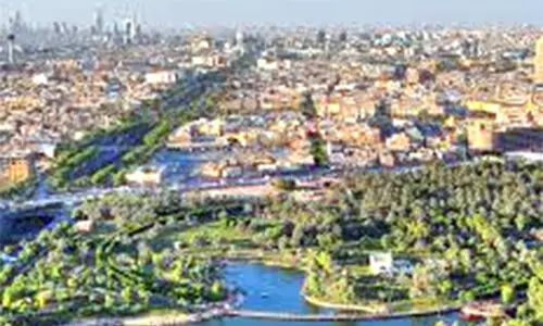 ഗ്രീൻ സൗദി: 10 ബി​ല്യ​ൺ മ​ര​ങ്ങ​ൾ ന​ട്ടു​പി​ടി​പ്പി​ക്കും