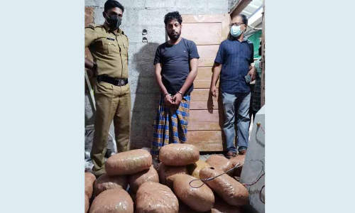 എ​ലി ചതിച്ചാശാനെ; മരപ്പൊടിയിലൊളിപ്പിച്ച കഞ്ചാവ് പിടികൂടി; ഒരാള്‍ അറസ്​റ്റില്‍