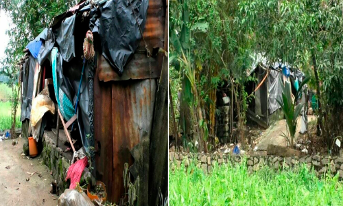 മഴ വെള്ളമിറങ്ങിയെങ്കിലും ക്യാമ്പ് വിട്ട് വീട്ടിലേക്ക് മടങ്ങാനാകാതെ അനു