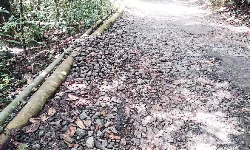 അടിസ്ഥാന സൗകര്യങ്ങളില്ലാതെ ജാനകിക്കാട് ഇക്കോ ടൂറിസം കേന്ദ്രം