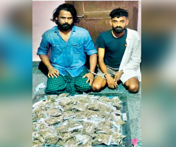 cannabis case cannabis case