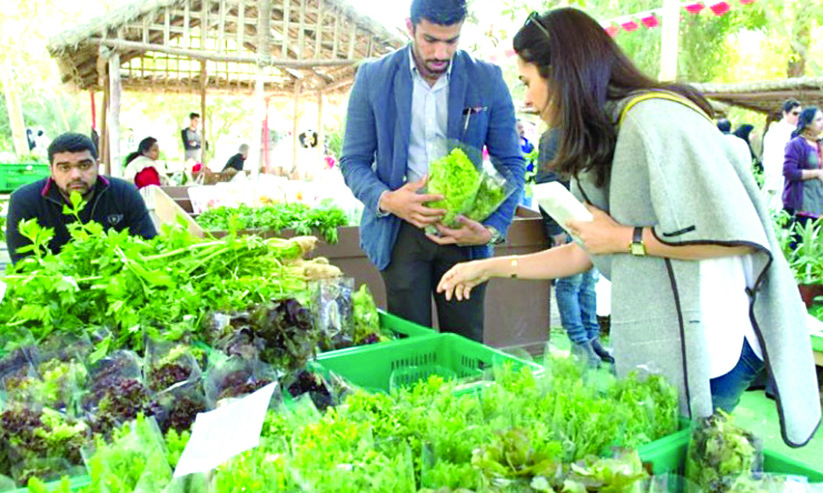 ബഹ്റൈനി കാർഷികചന്ത ഡിസംബറിൽ ബഹ്റൈനി കാർഷികചന്ത ഡിസംബറിൽ