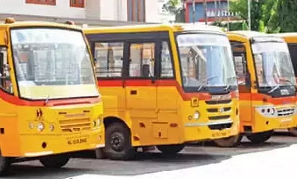 school bus school bus