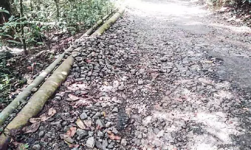 അടിസ്ഥാന സൗകര്യങ്ങളില്ലാതെ ജാനകിക്കാട് ഇക്കോ ടൂറിസം കേന്ദ്രം