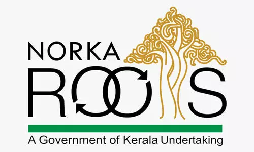 നോര്‍ക്ക പ്രവാസി ഭദ്രത-മൈക്രോ സ്വയംതൊഴില്‍ സഹായ പദ്ധതിക്ക് നാളെ തുടക്കം