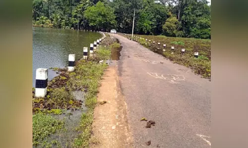 പ്രകൃതിഭംഗിയിലേക്ക്​ വഴിതുറന്ന്​​ മാക്രിമട
