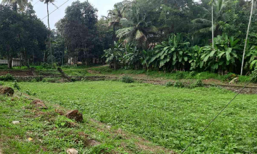 പുത്തൂർ പാണ്ടറ ചിറയുടെ ദുരിതാവസ്ഥയ്ക്ക് ഉടൻ പരിഹാരമാകും- മന്ത്രി കെ.എൻ.ബാലഗോപാൽ