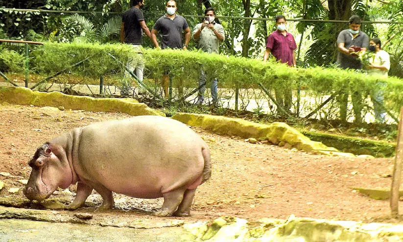 thiruvananthapuram zoo