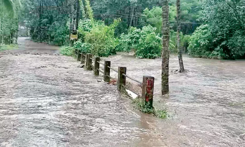 ക​ന​ത്ത മ​ഴ: മണ്ണാർക്കാട്ട് വീ​ടു​ക​ളി​ൽ വെ​ള്ളം ക​യ​റി,   ന​ട​പ്പാ​ലം ഒ​ലി​ച്ചു​പോ​യി