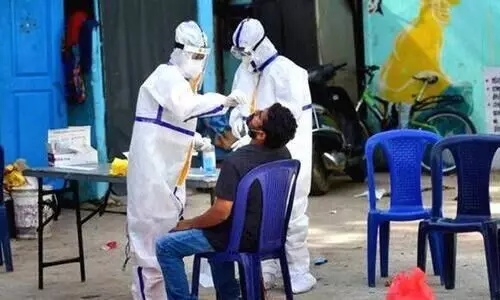 Covid Swab Collection