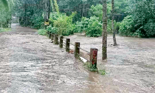 ക​ന​ത്ത മ​ഴ: മണ്ണാർക്കാട്ട് വീ​ടു​ക​ളി​ൽ വെ​ള്ളം ക​യ​റി,   ന​ട​പ്പാ​ലം ഒ​ലി​ച്ചു​പോ​യി