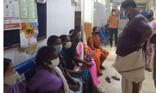 കടന്നൽ കുത്തേറ്റ് ഒമ്പത്​ തൊഴിലാളികൾക്ക് പരുക്ക്