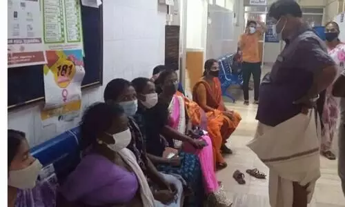 കടന്നൽ കുത്തേറ്റ് ഒമ്പത്​ തൊഴിലാളികൾക്ക് പരുക്ക്