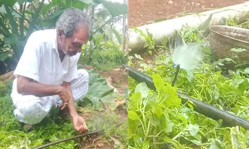 71ാം വയസ്സിൽ സ്​റ്റാർട്ടപ്പുമായി ക​ർ​ഷ​ക​നാ​യ അവറാൻ