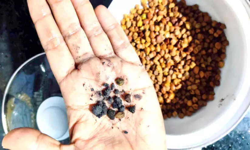 സപ്ലൈകോയിൽനിന്ന് വാങ്ങിയ കടലയിൽ കല്ലും മൺകട്ടകളും സപ്ലൈകോയിൽനിന്ന് വാങ്ങിയ കടലയിൽ കല്ലും മൺകട്ടകളും