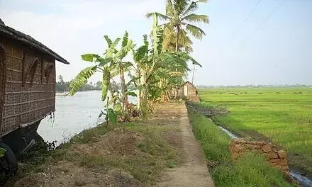 നെൽവയൽ തണ്ണീർത്തട നിയമം കുട്ടനാടിനൊപ്പം  അപ്പർ കുട്ടനാടൻ മേഖലക്കും ബാധകമാക്കണം